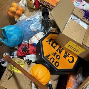 Wholesale Halloween Closeouts pallets